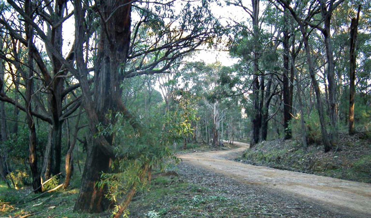 4WD Oberon Colong historic stock route. Photo: D Campbell
