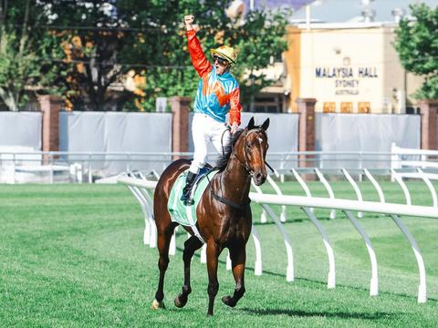 Sydney Everest Carnival