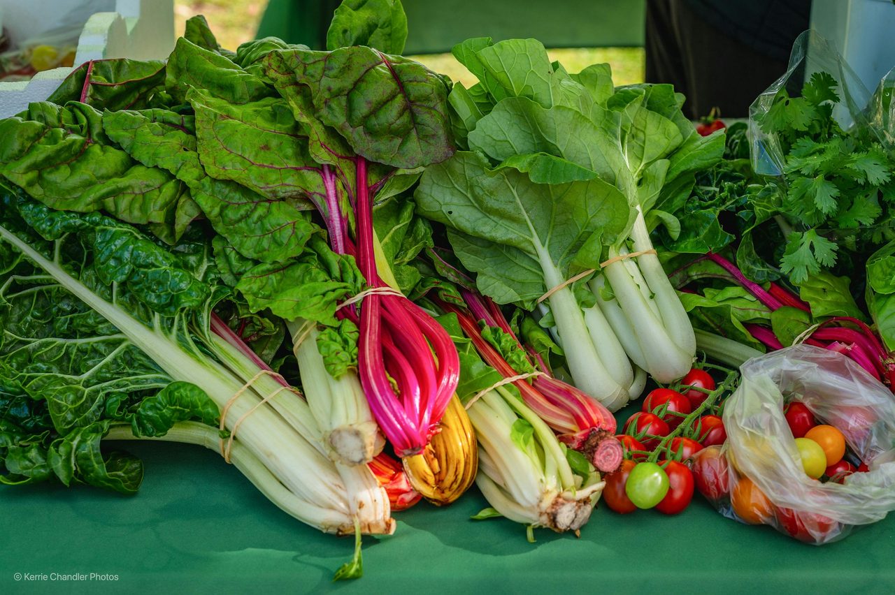 Fresh Veges & Fruit
