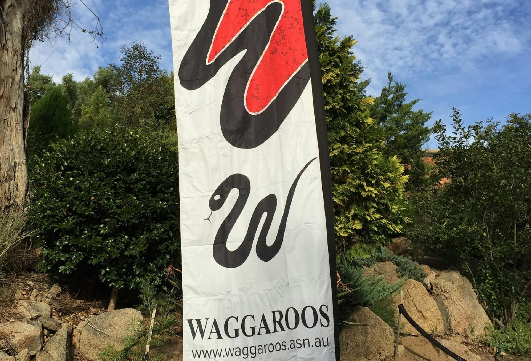 The club flag