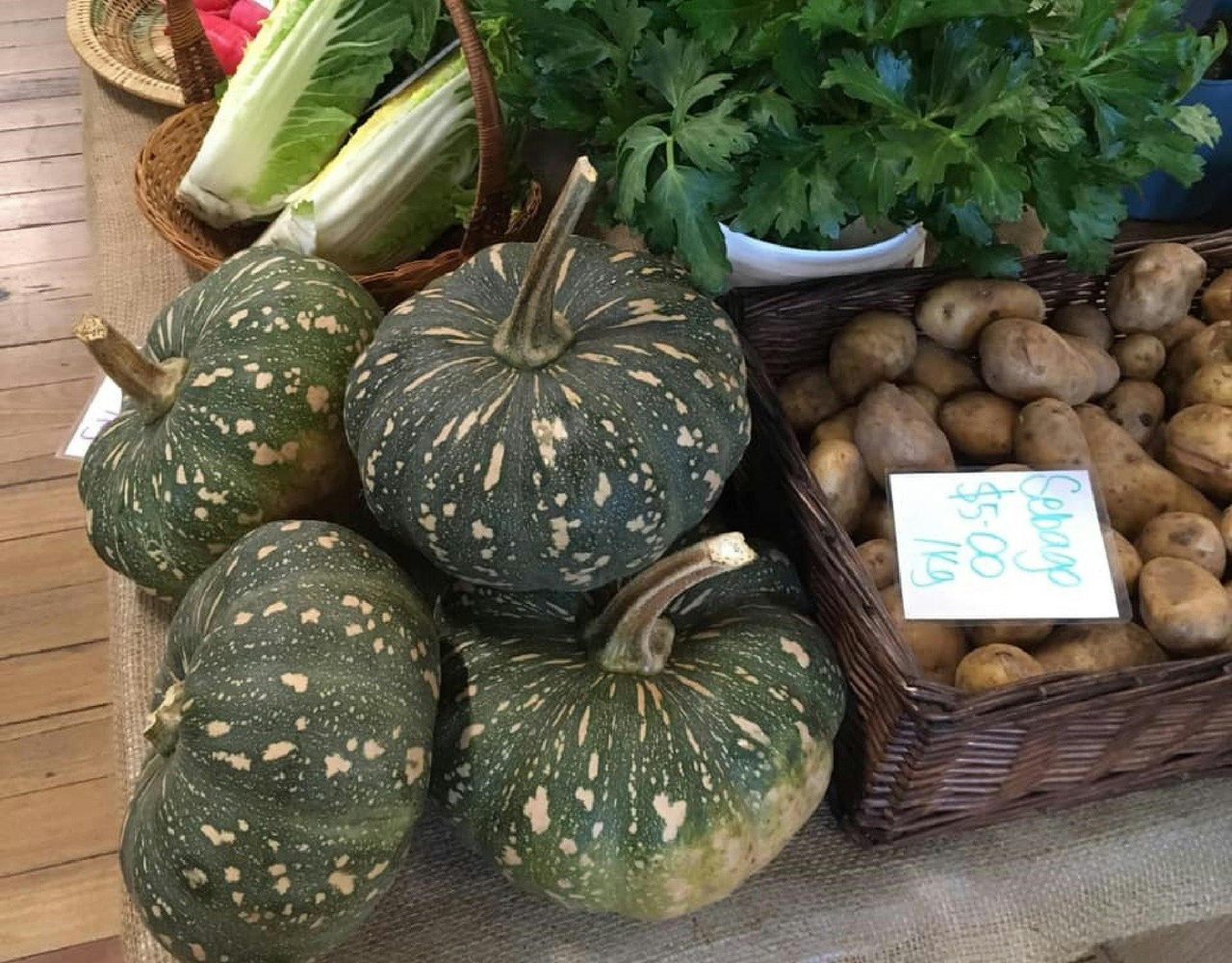 pumpkins