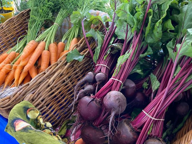 Tilba Market