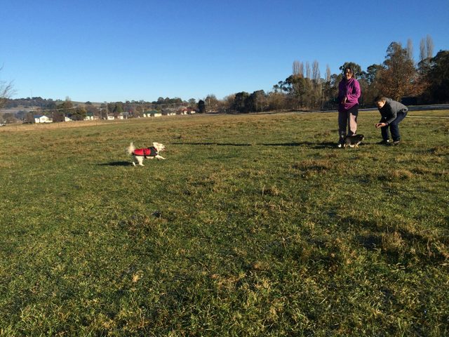 Crookwell Dog Park