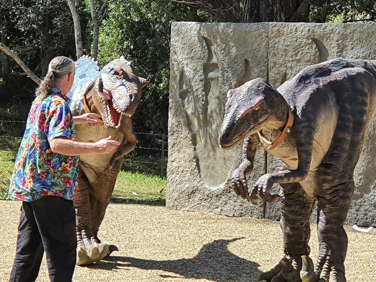 Live Dinosaur Show