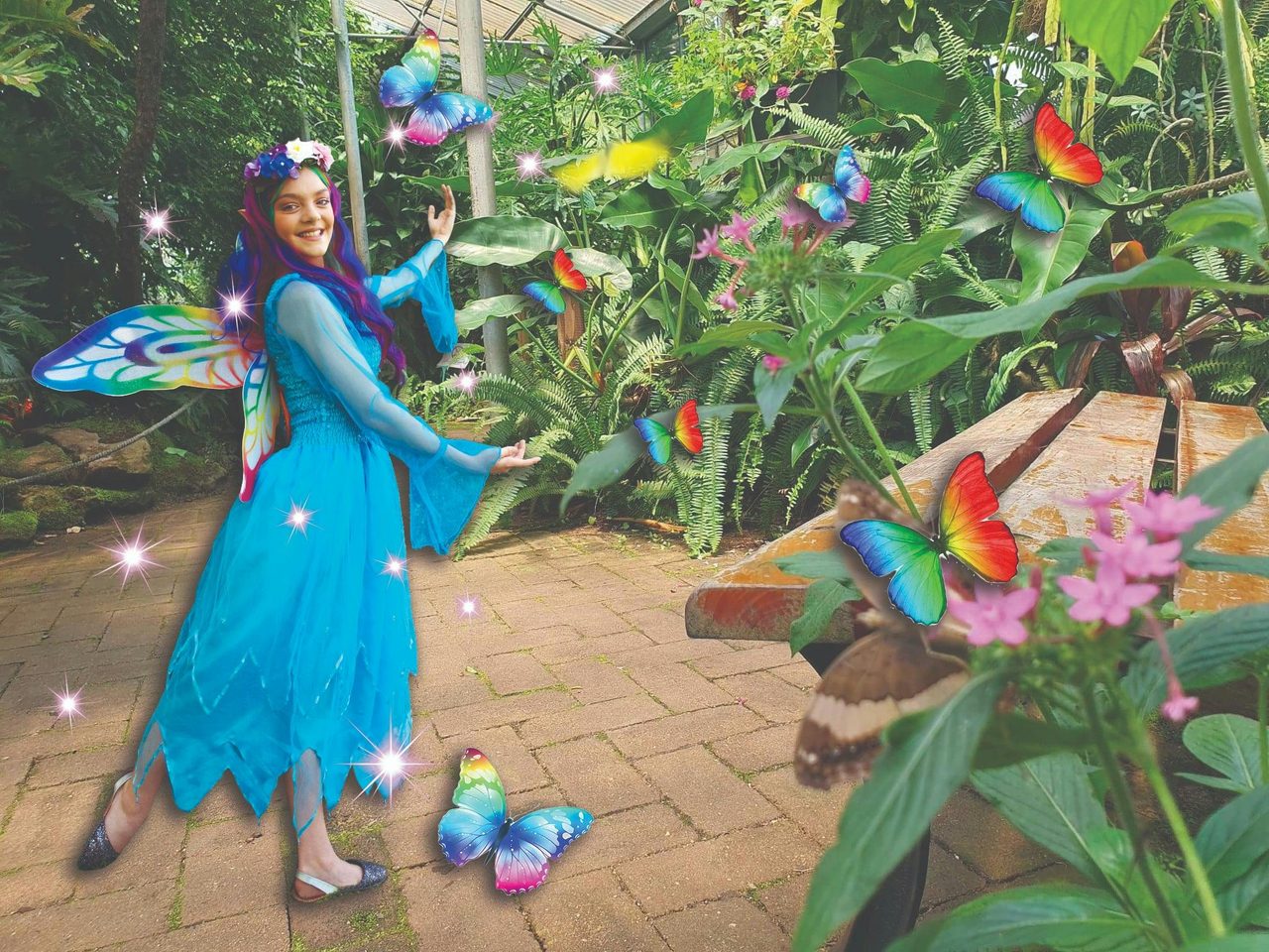 Flutterby in the Glass House