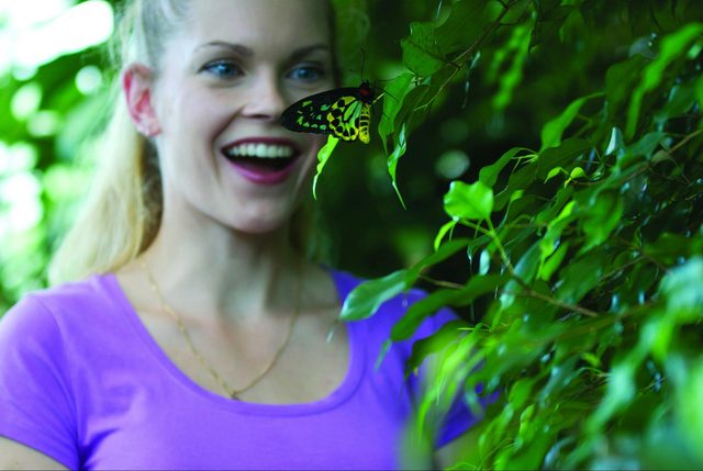 Coffs Harbour Butterfly House