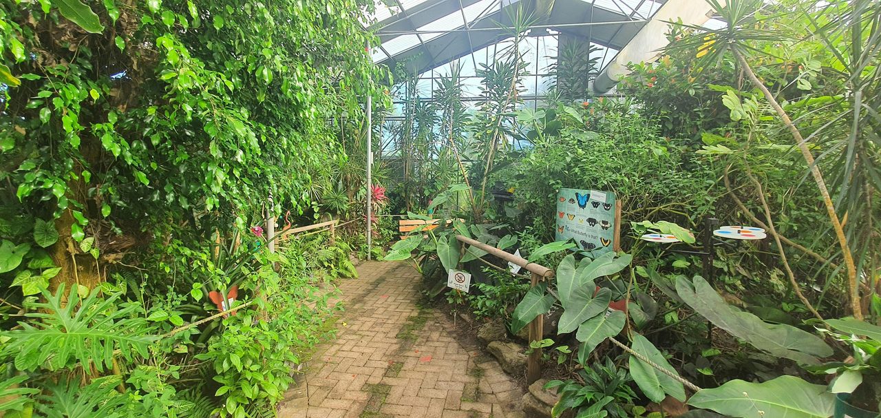 Magical Butterfly House