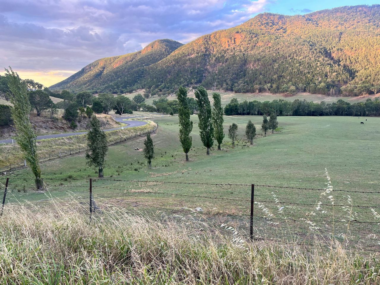 Country road at twilight