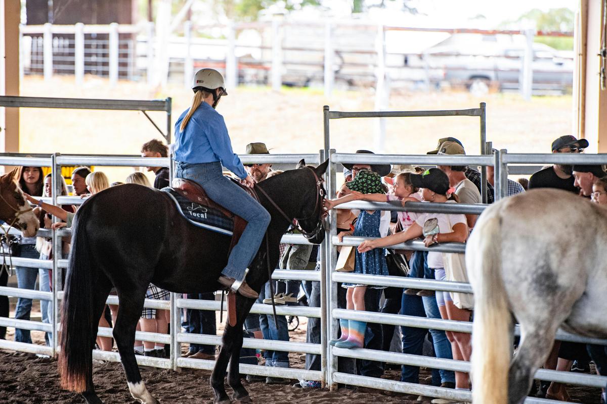 Tocal College Horse Course Student entertaining the crowd at Tocal Field Days
