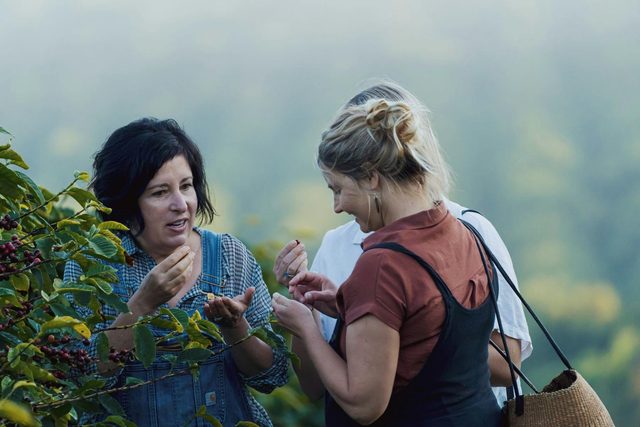 Zentveld's Coffee Crop to Cup