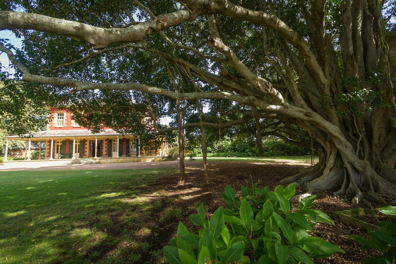 Tocal Homestead