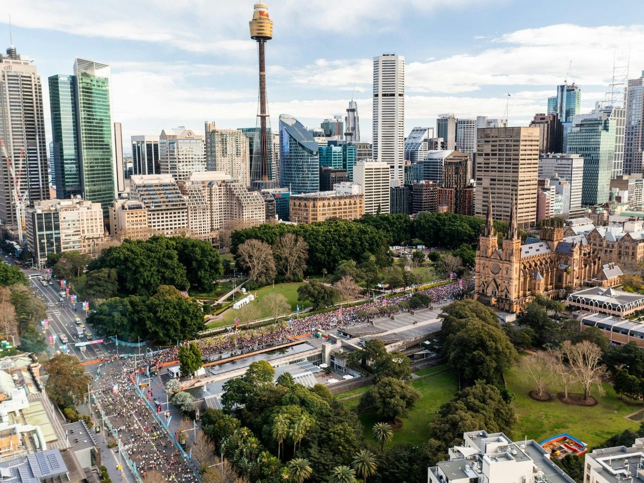 City2Surf - Destination