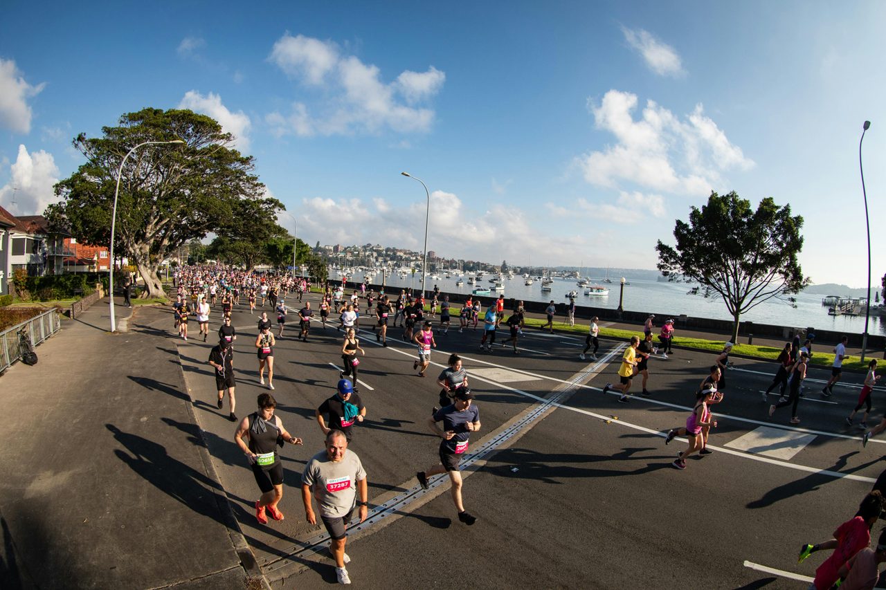 Athletes running City2Surf