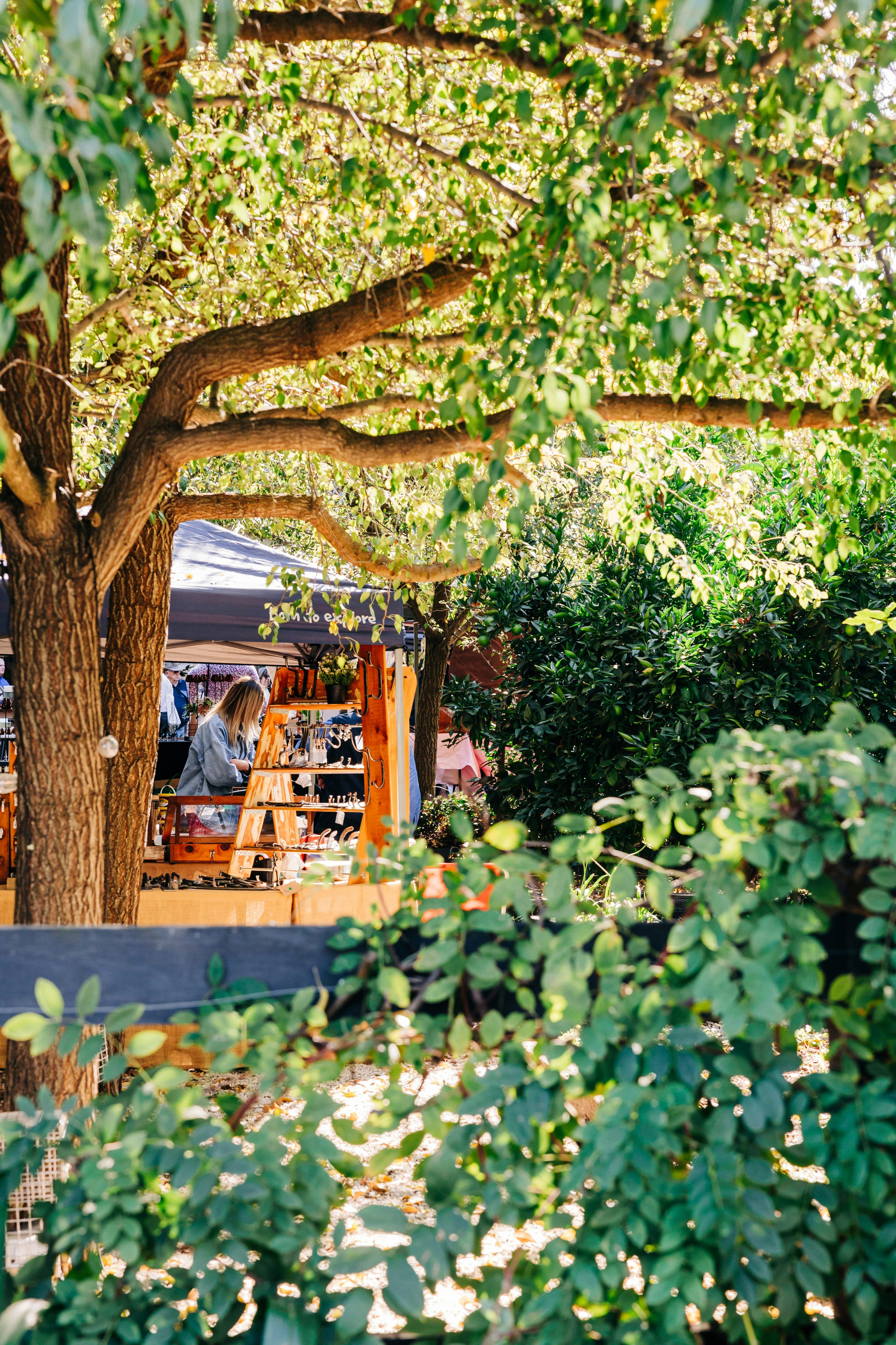 The Sir George Markets