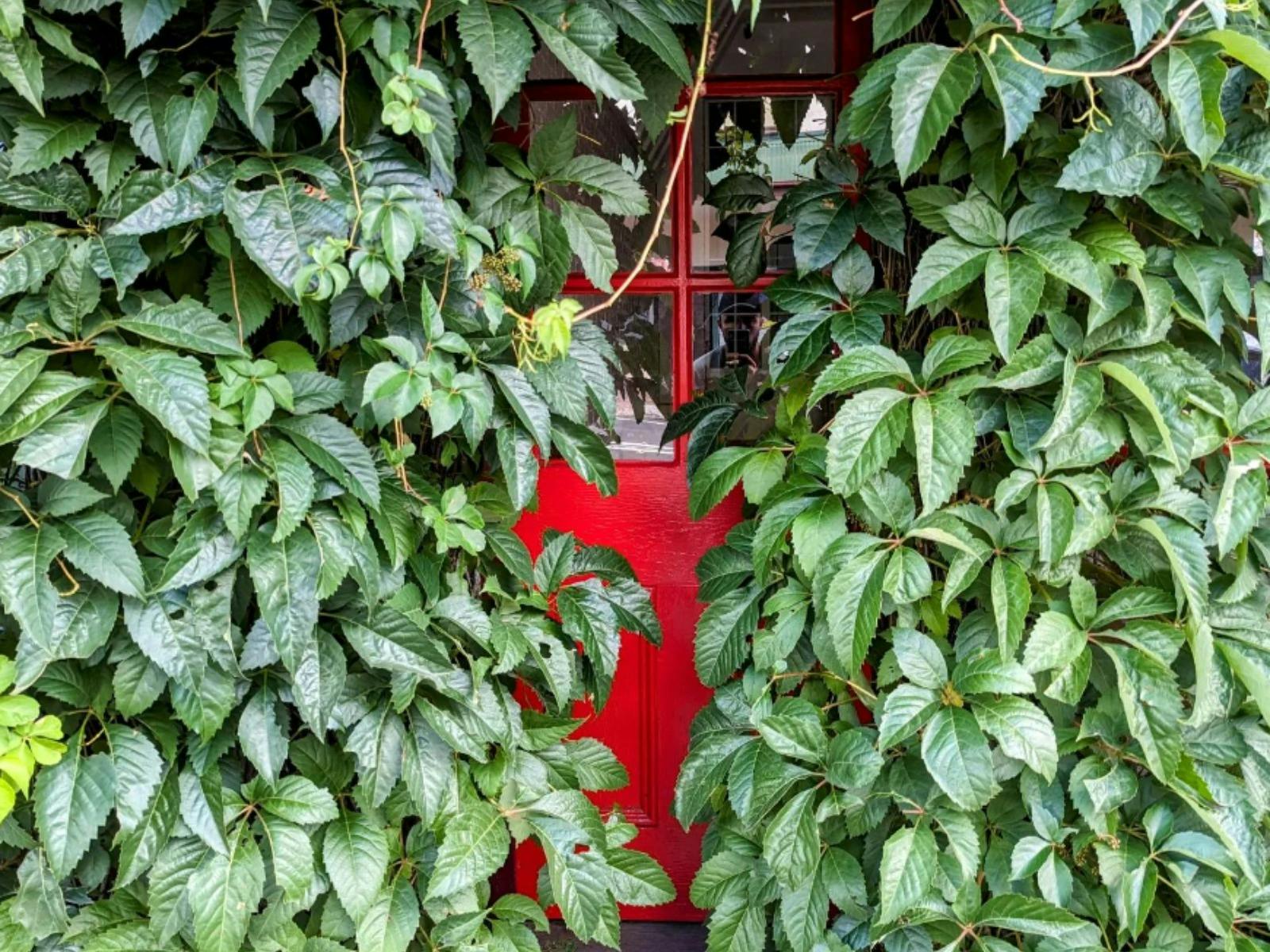 Coach House Collective 1