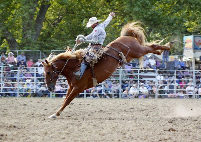 Tumbarumba Rodeo