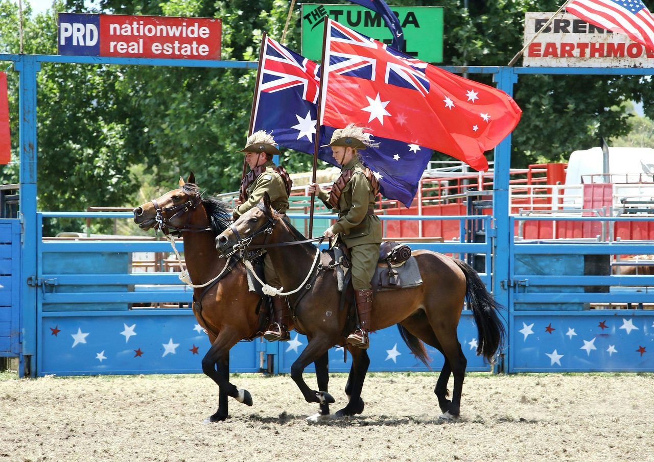 Light Horse Display