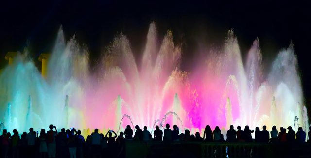 Water Fest Shoalhaven