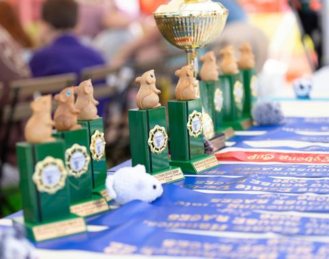 Wybong Mouse Races