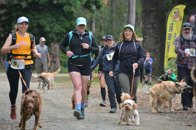 Trails and Tails - Coopernook HQ