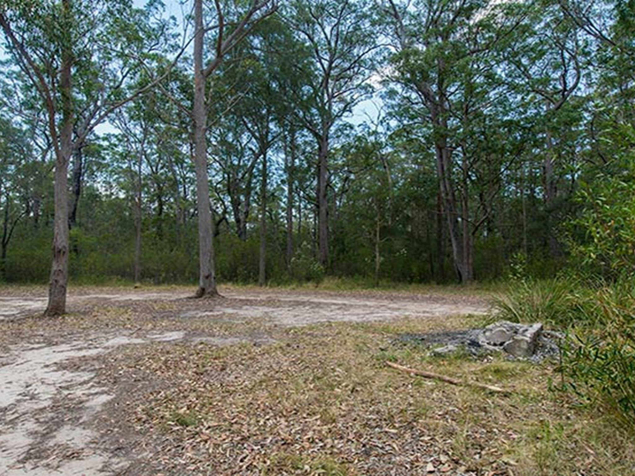 Cockatoo picnic area, Wallingat National Park. Photo: John Spencer