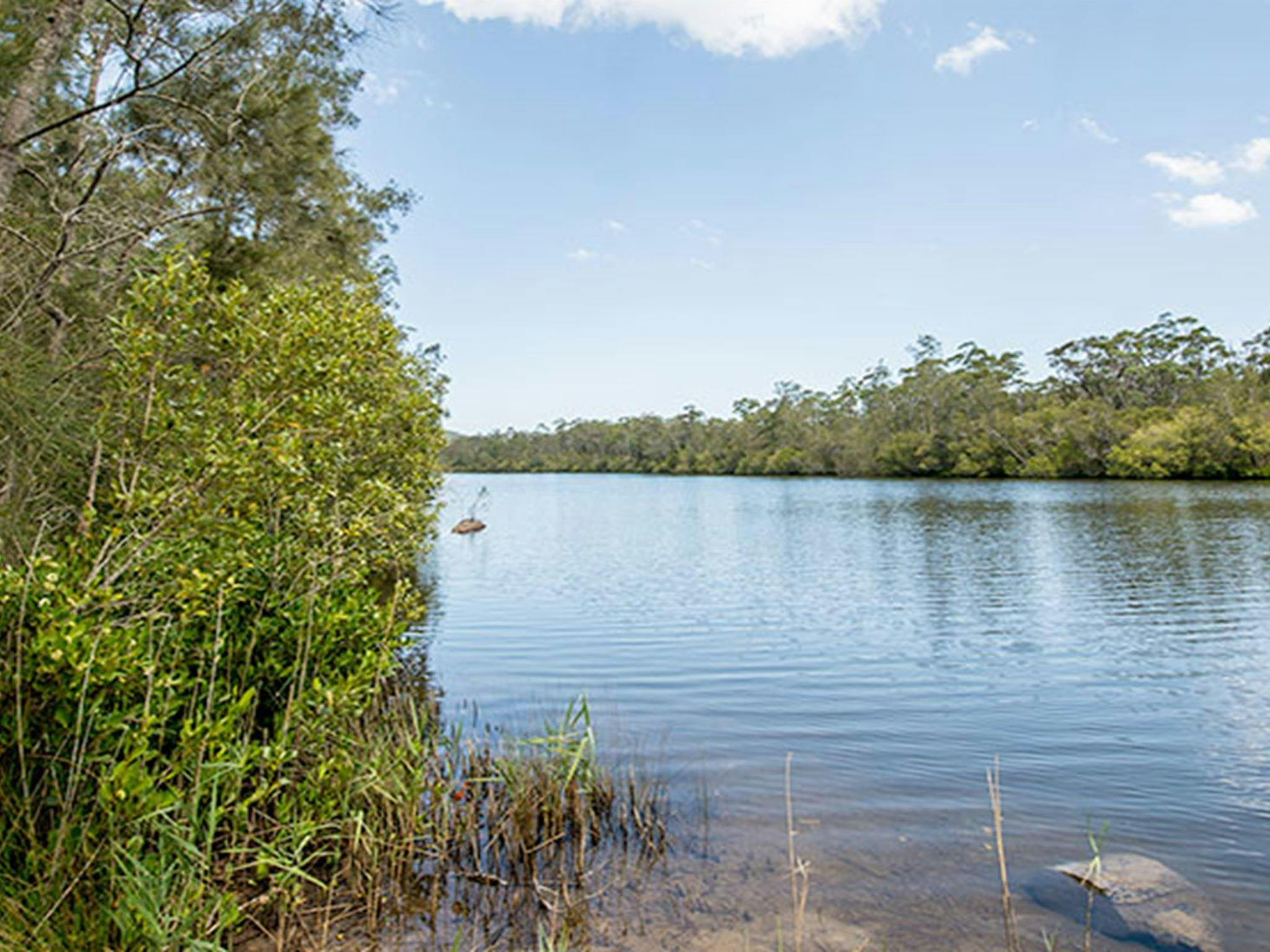 Cockatoo picnic area, Wallingat National Park. Photo: John Spencer
