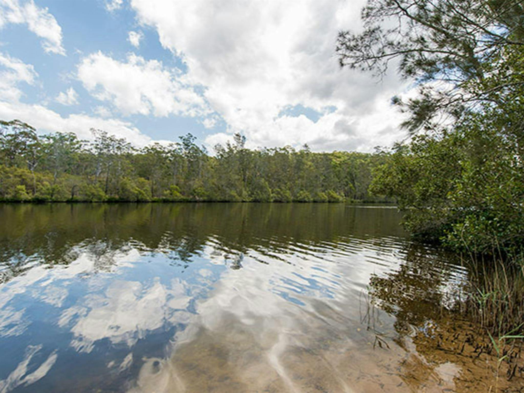 Cockatoo picnic area, Wallingat National Park. Photo: John Spencer