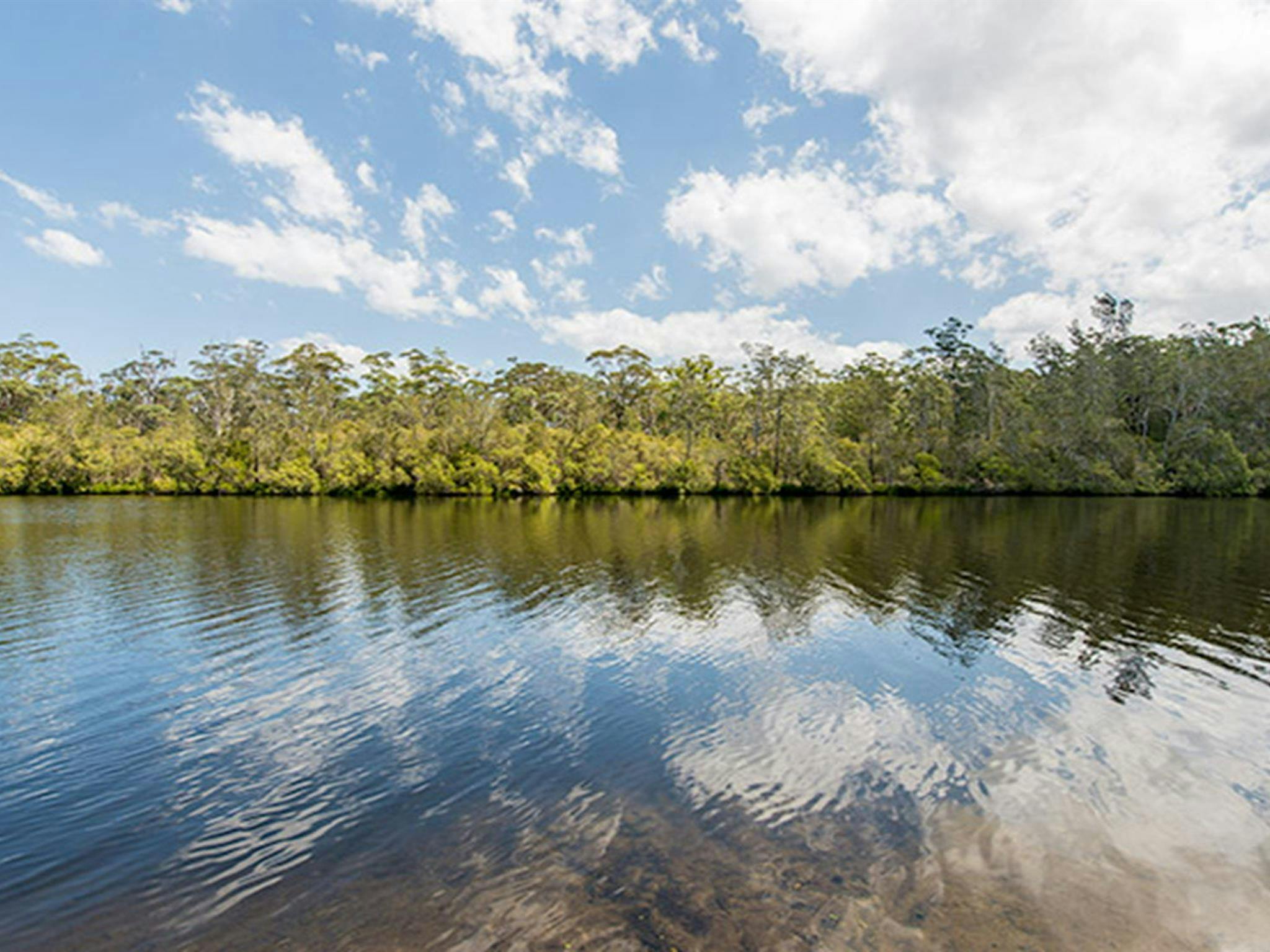 Cockatoo picnic area, Wallingat National Park. Photo: John Spencer
