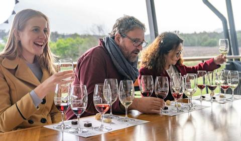 Small group premium wine tasting flight with vineyard views