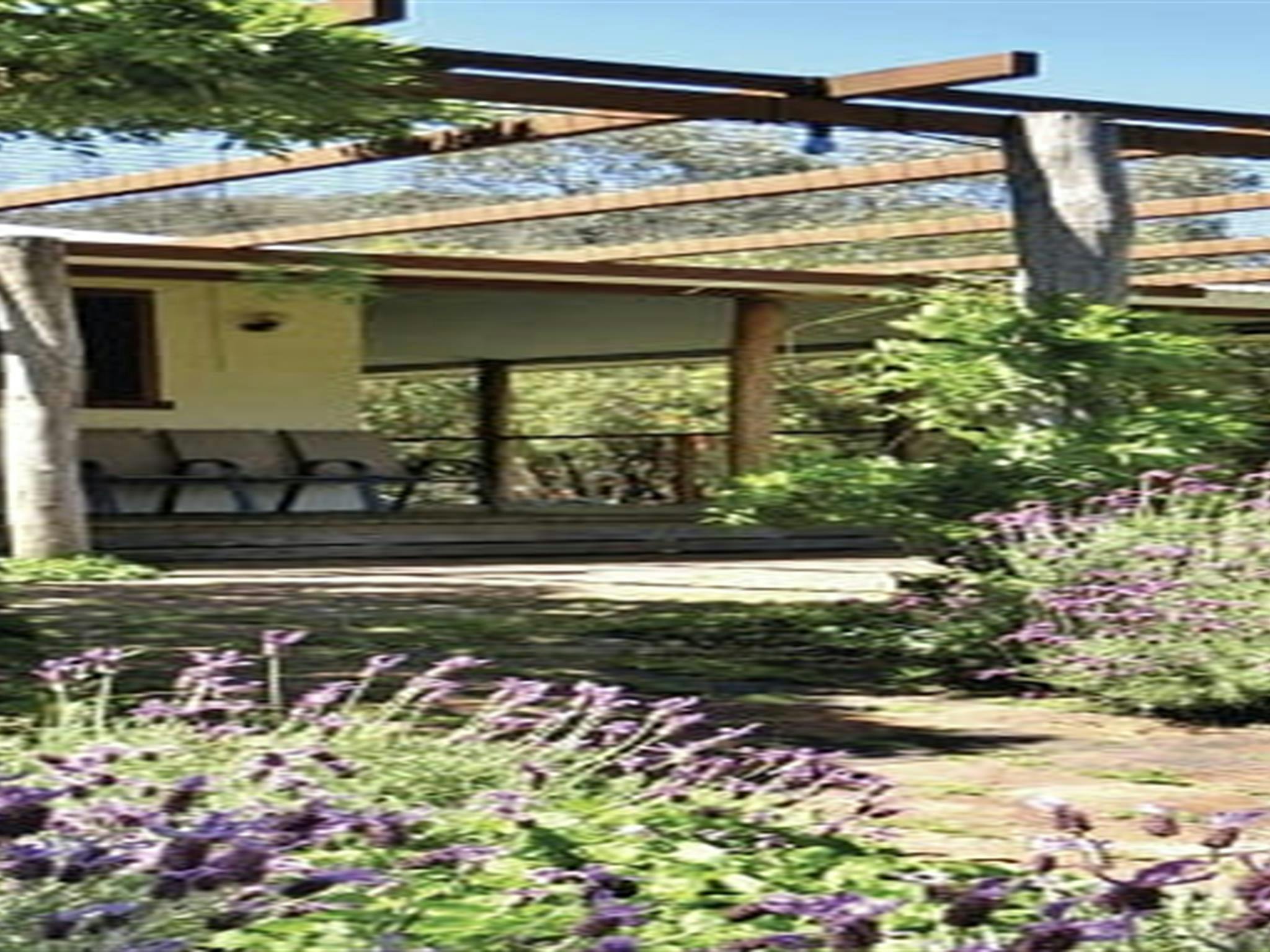 Capertee Homestead gardens, Capertee National Park. Photo: Anjee du Terreau/OEH