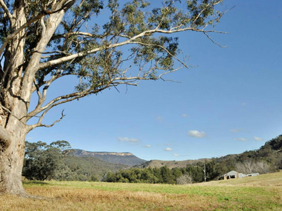 Capertee National Park. Photo: Michelle Barton/OEH