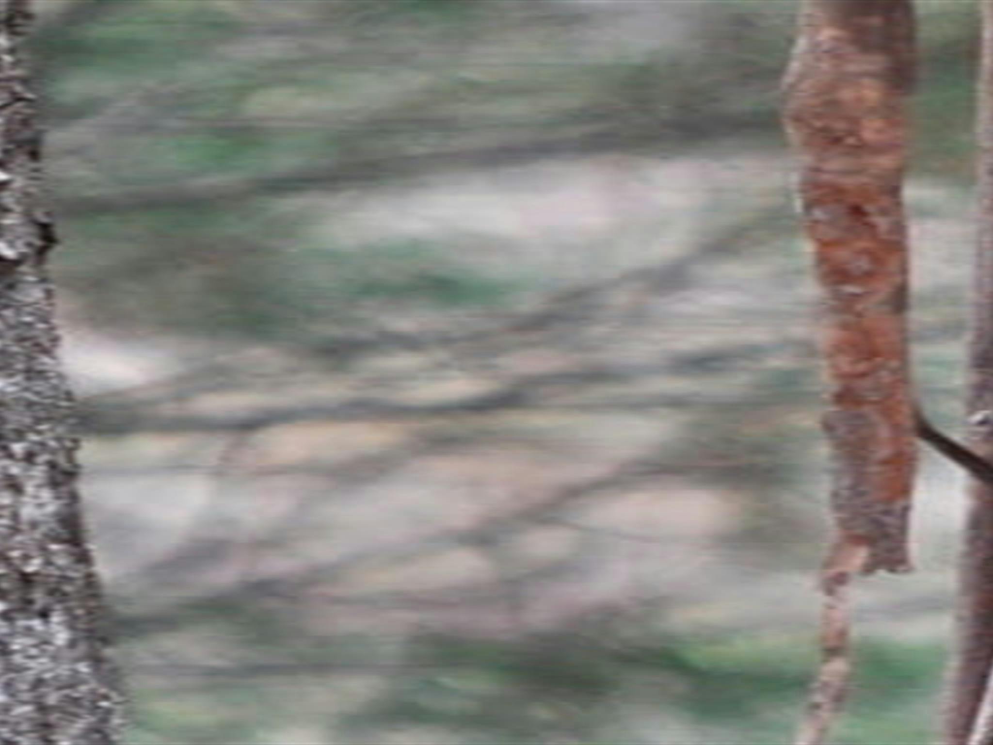 Capertee National Park. Photo: Michelle Barton/OEH