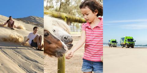 Collage of sandboarding activity and animals at animal park