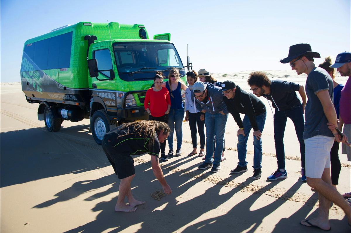 Pippie searching Stockton beach