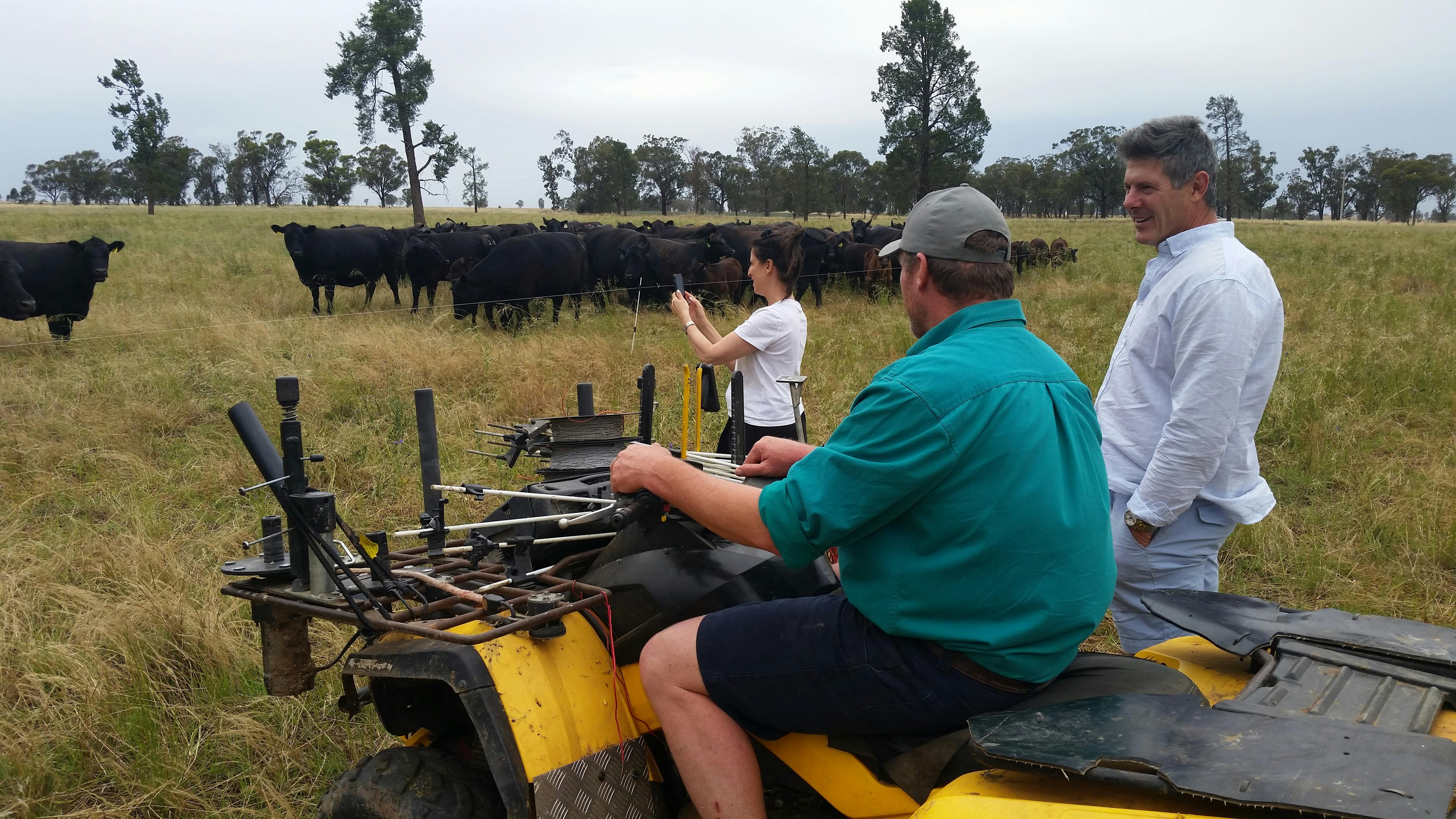 Regenerative farming in the beef industry near Narrandera NSW