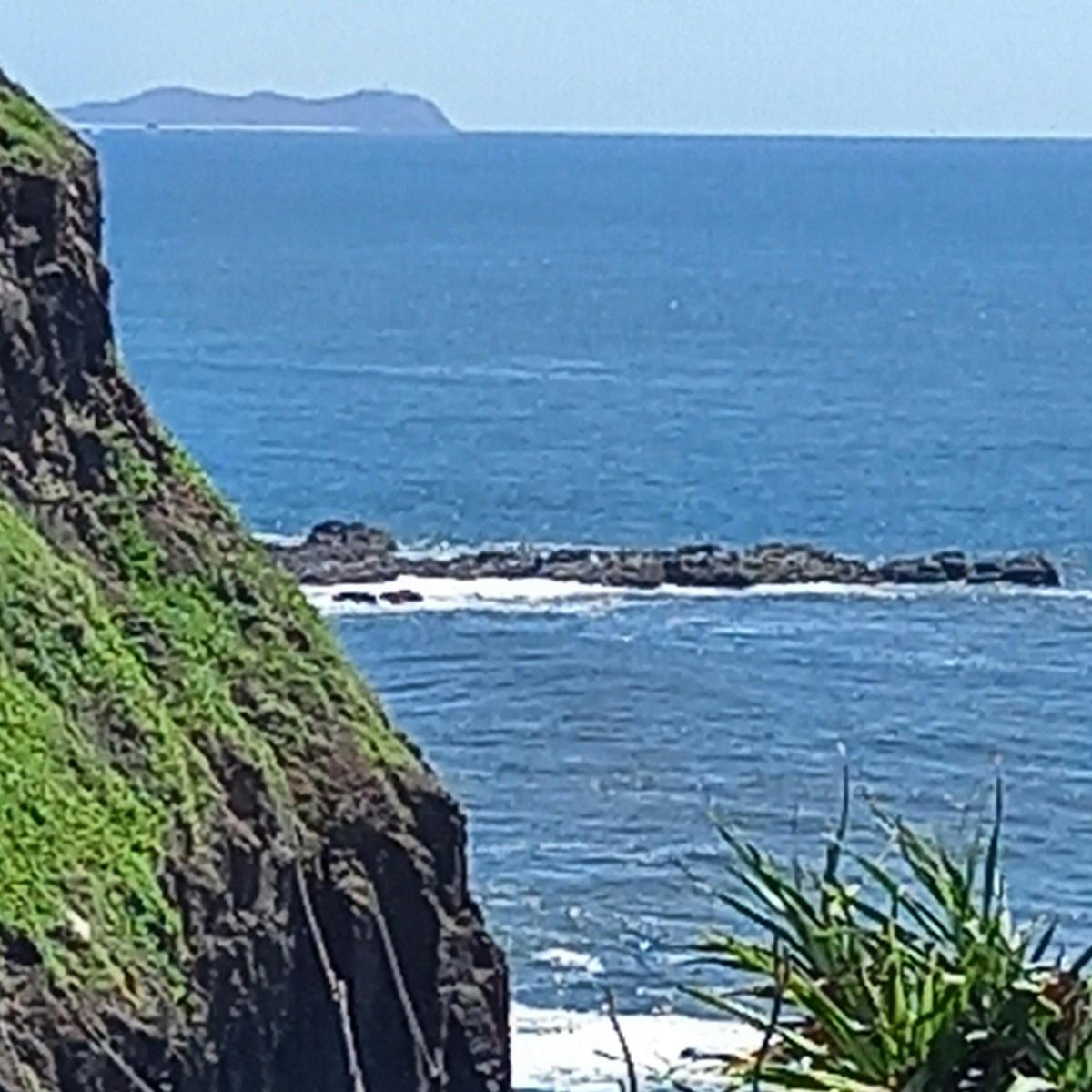 Skennars Head Poison snake site