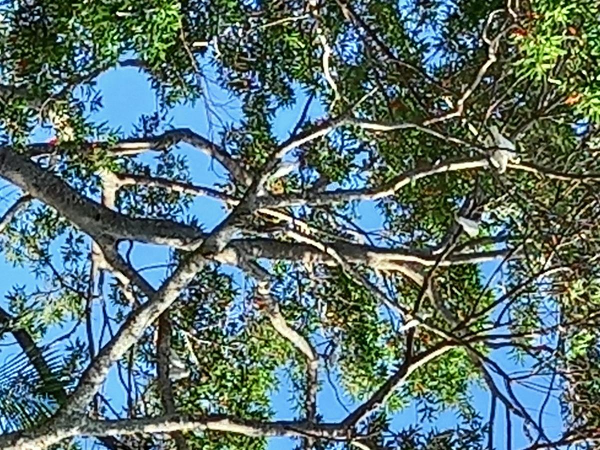 the land gave us life