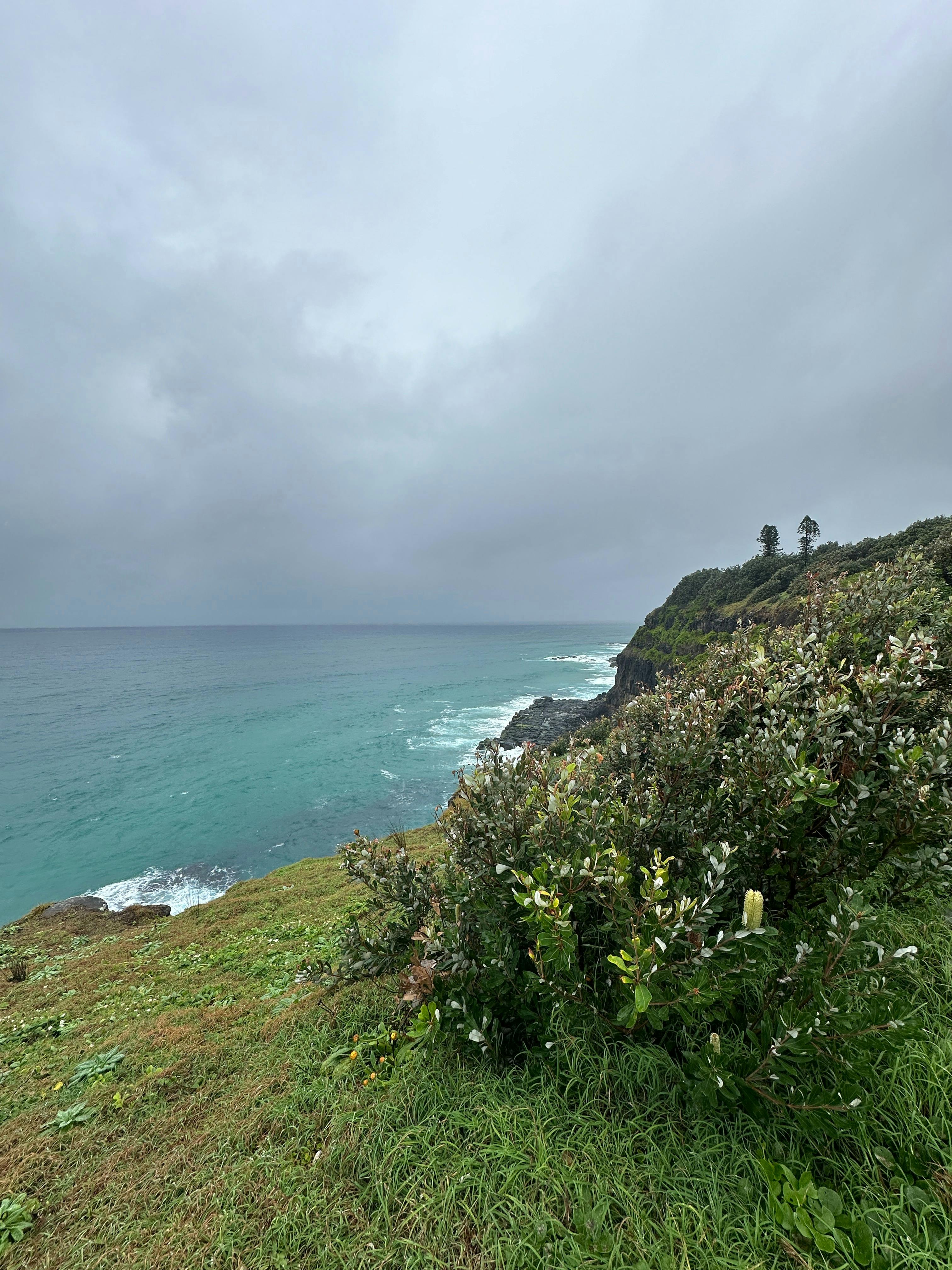 Aboriginal Culture Concepts