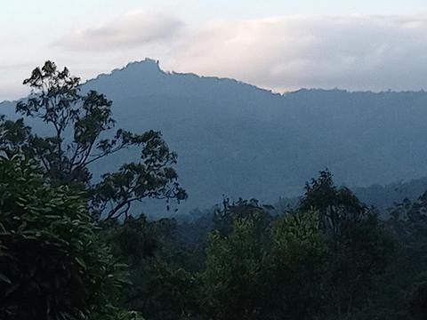 Wollumbin (Mt Warning)