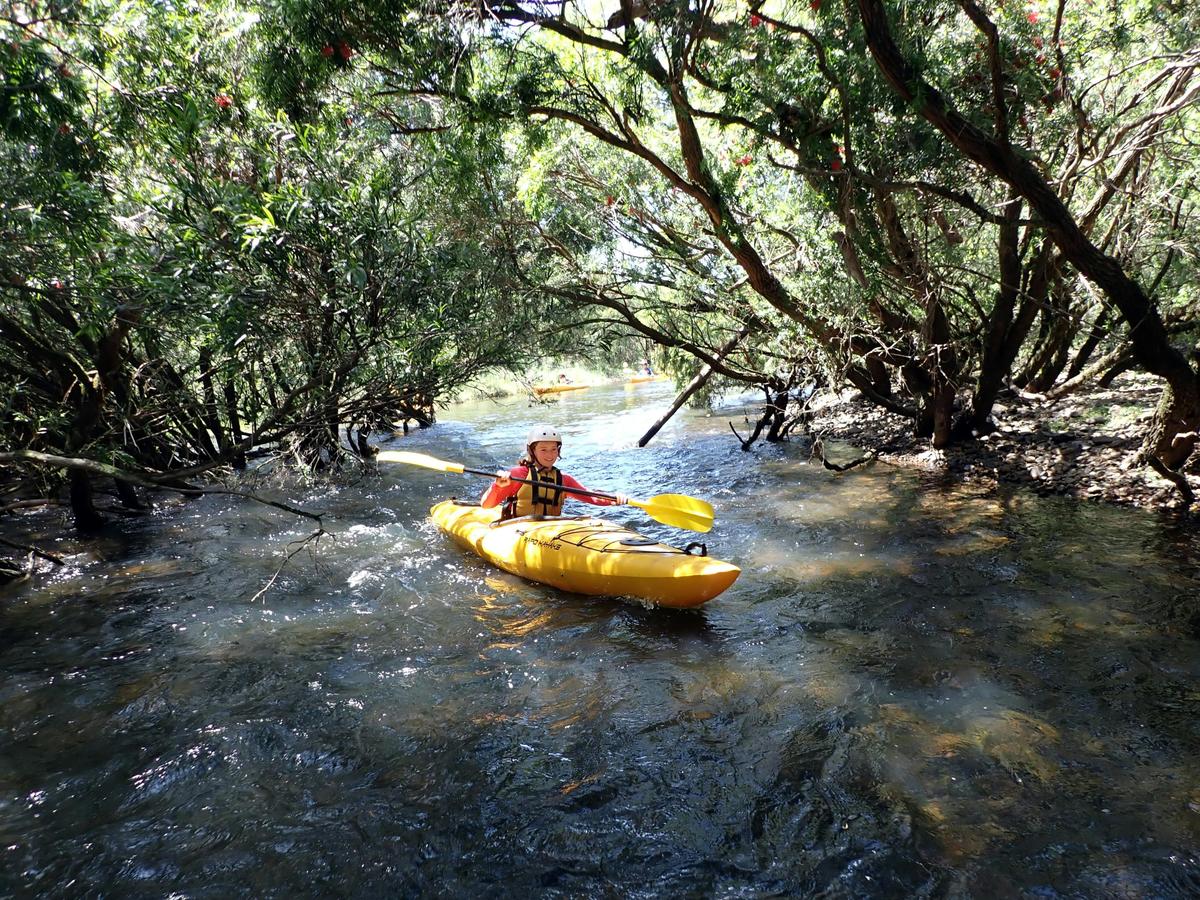 Paddling through trees
