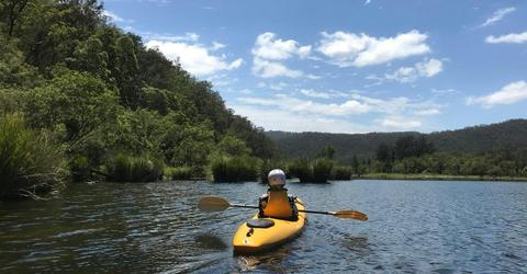 Just one of the thousands of peaceful , relaxing scenes on the Nymboida River  NSW