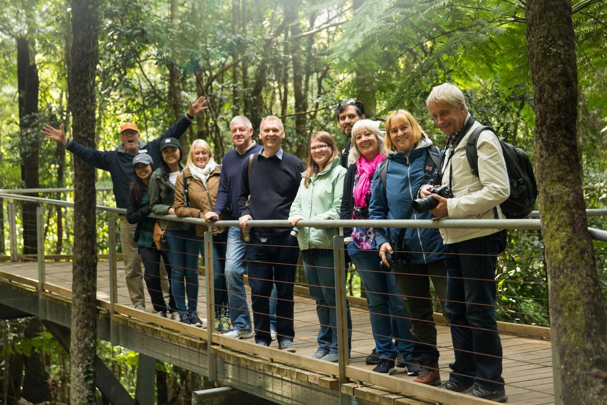 Guided Blue Mountains small Group Tours