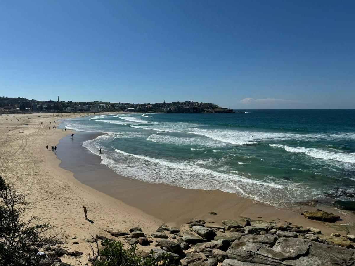 Small Group Sydney 4 Hour Rocks, City & Bondi Tour