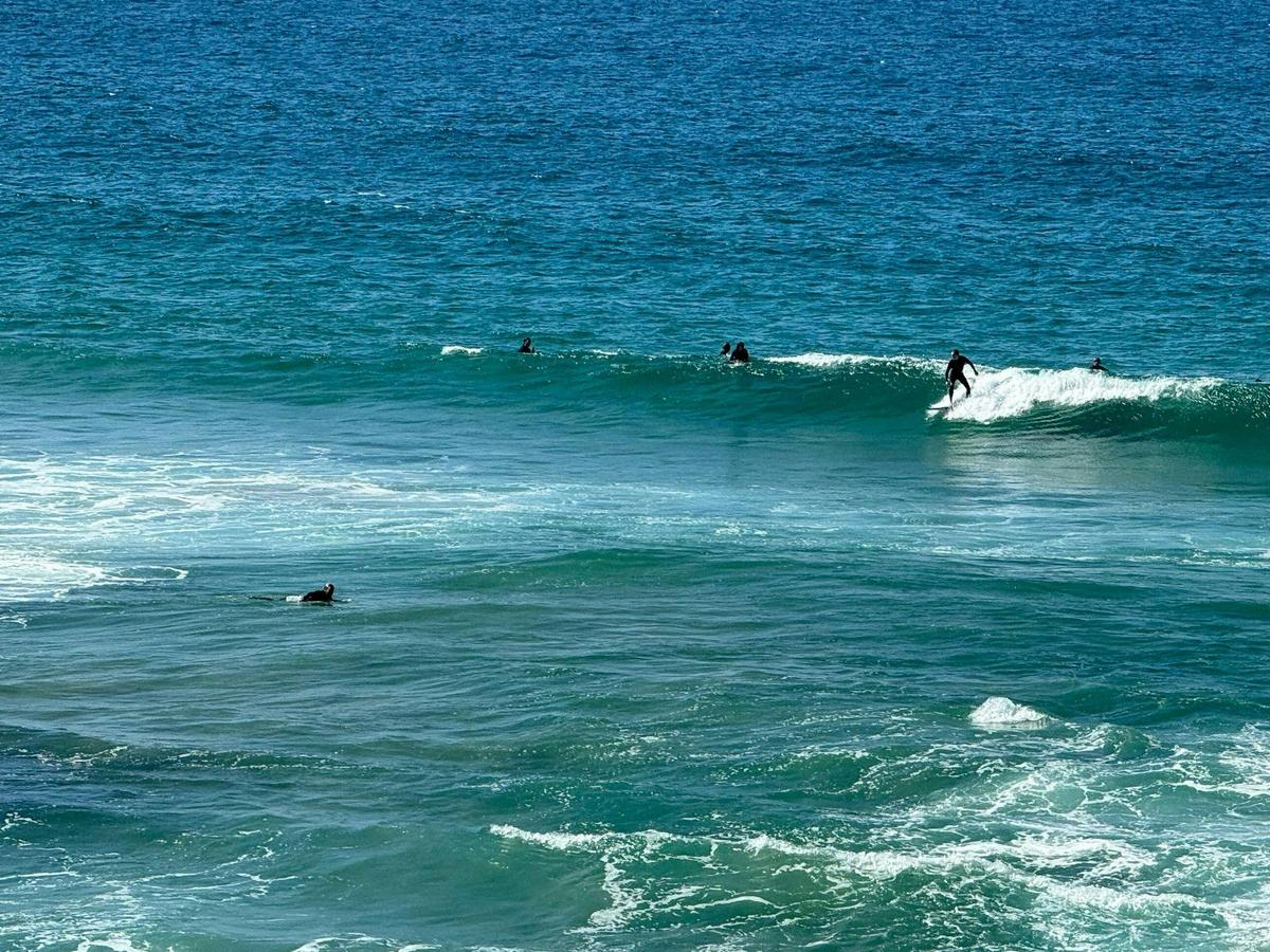 Small Group Sydney 4 Hour Rocks, City & Bondi Tour