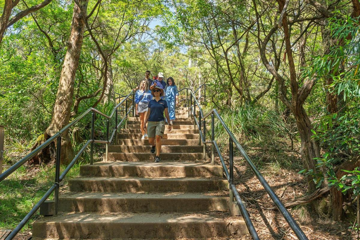 All Inclusive Small Group - Blue Mountains Tour