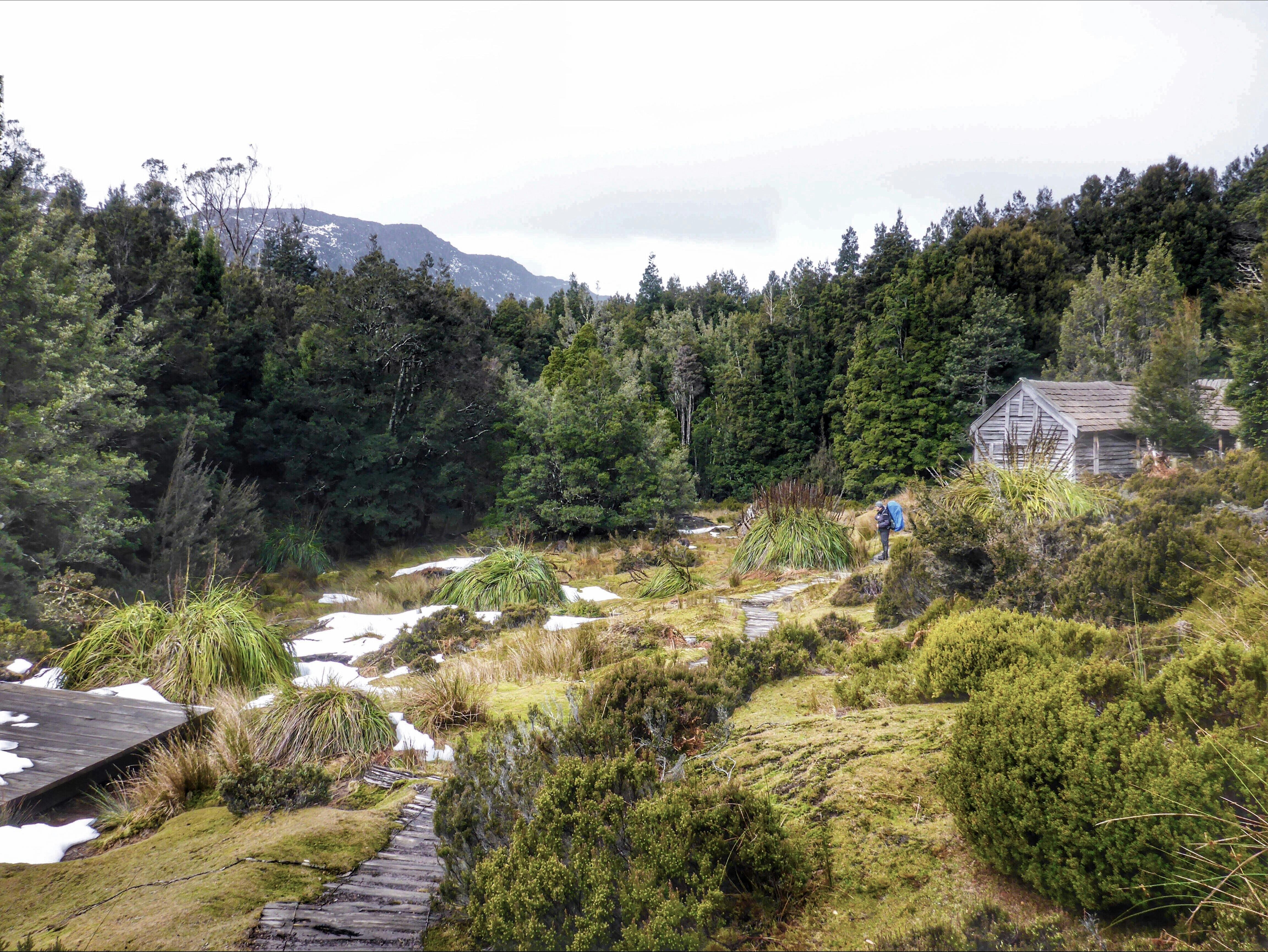 Surrounded by beautiful landscapes on our Overland Track trek