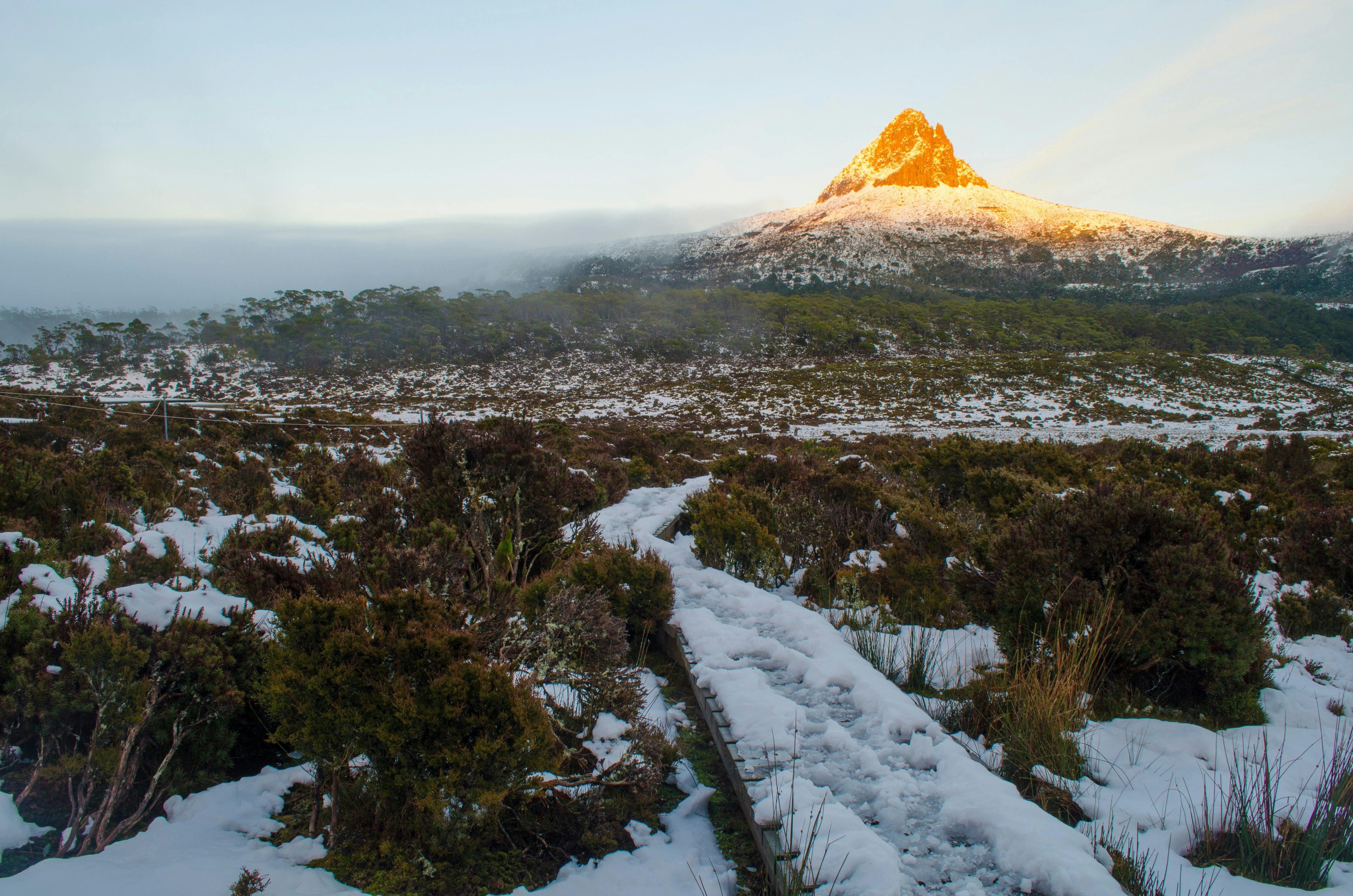 Barn Bluff in the distance on The Overland Track