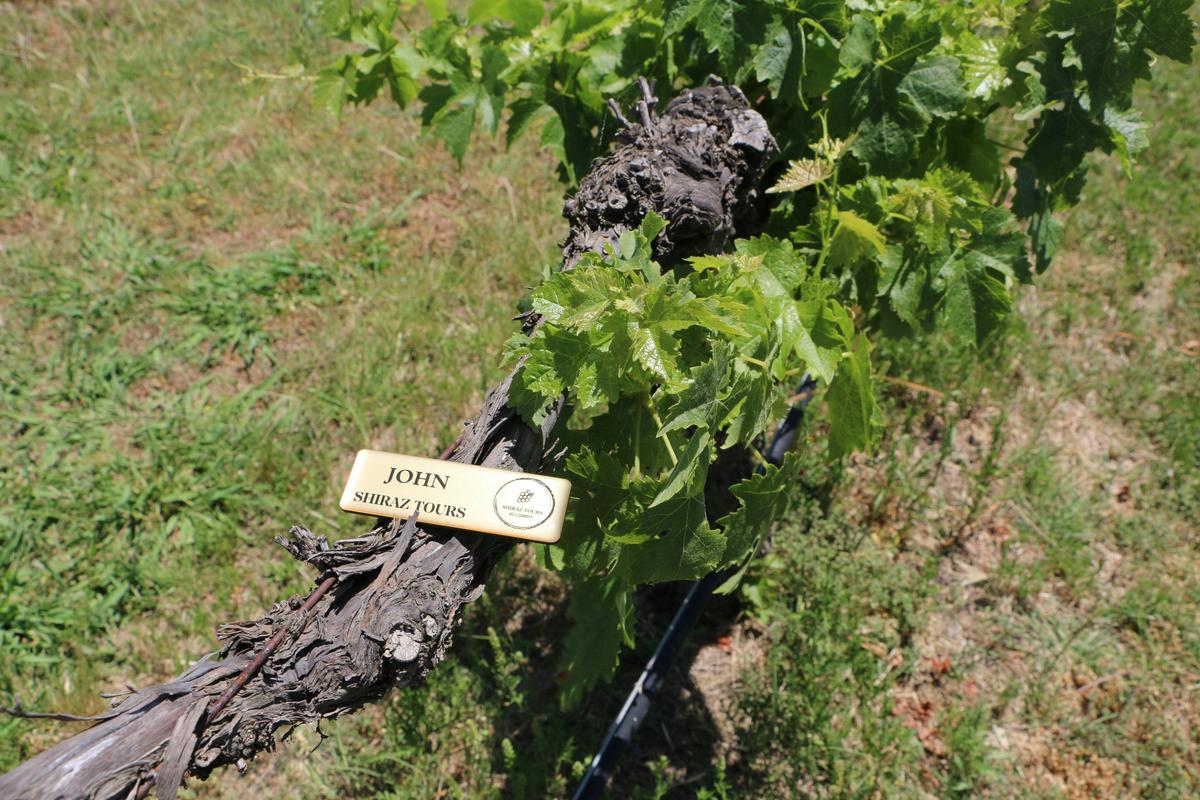 Shiraz Tours Southern Highlands Tour