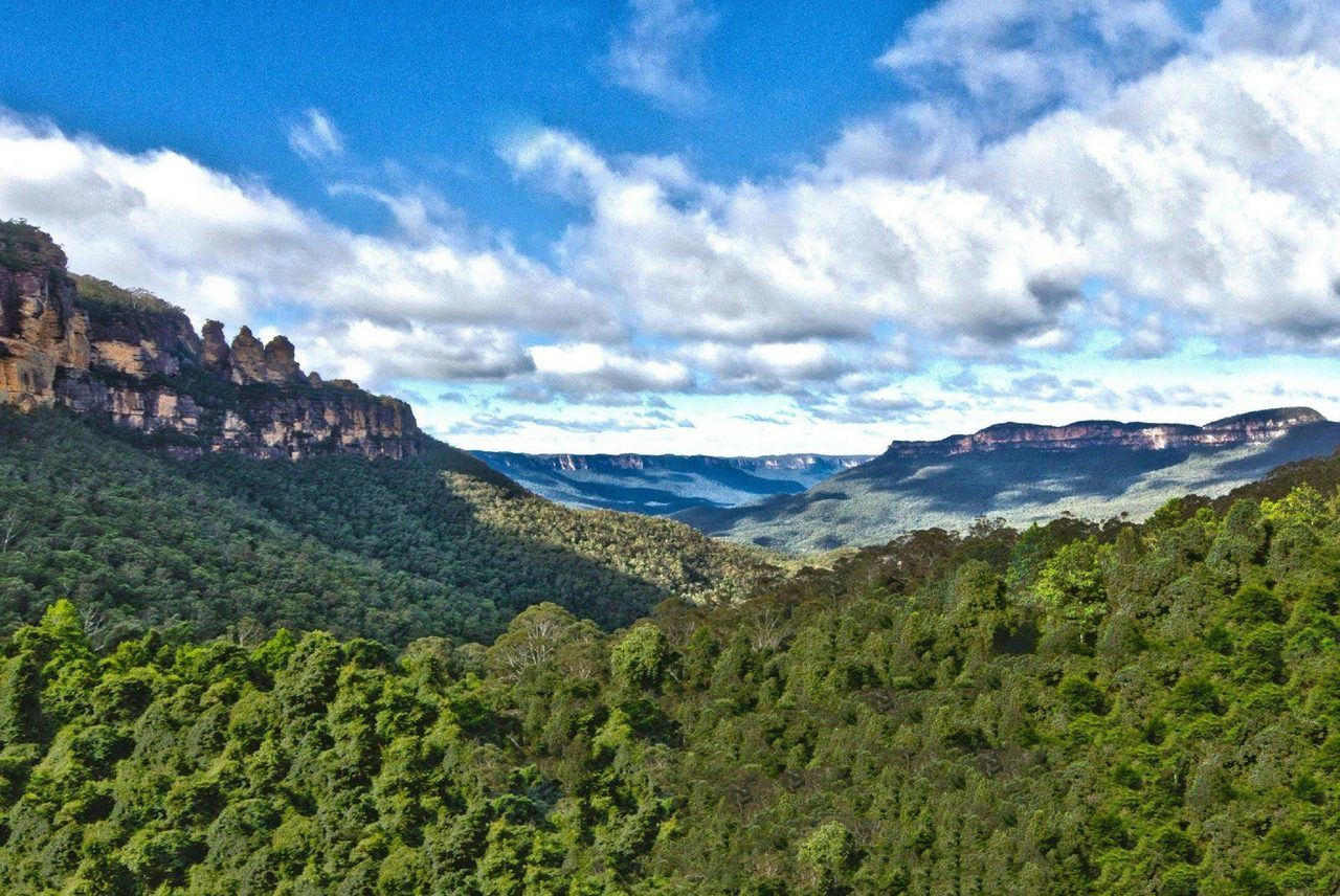 Real Sydney Tours
