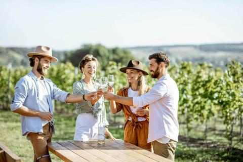 Half Day or Full Day Wine Tours